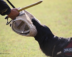 Schutzdienstwochenende_Juli_FD1A3982-20220723