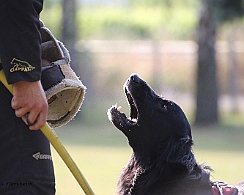 Schutzdienstwochenende_Juli_FD1A3984-20220723