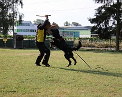 Schutzdienstwochenende_Juli_FD1A3986-20220723