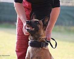 Schutzdienstwochenende_Juli_FD1A3994-20220723