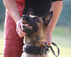 Schutzdienstwochenende_Juli_FD1A3995-20220723