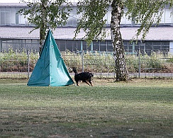 Trainingswochenende_Mai_2022_FD1A3057-2022 05 26