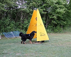 Trainingswochenende_Mai_2022_FD1A3061-2022 05 26