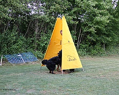 Trainingswochenende_Mai_2022_FD1A3062-2022 05 26