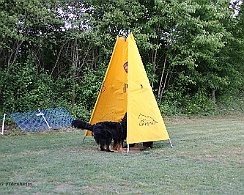 Trainingswochenende_Mai_2022_FD1A3063-2022 05 26