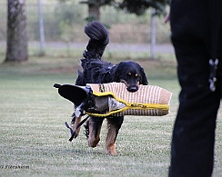 Trainingswochenende_Mai_2022_FD1A3080-2022 05 26