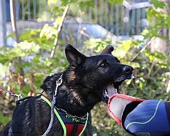 Trainingswochenende_Oktober_2022_FD1A5122-20221006