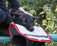 Trainingswochenende_Oktober_2022_FD1A5124-20221006