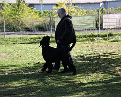 Trainingswochenende_Oktober_2022_FD1A5127-20221006