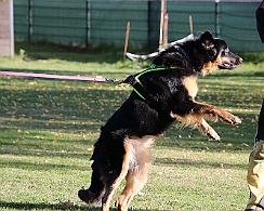 Trainingswochenende_Oktober_2022_FD1A5142-20221006