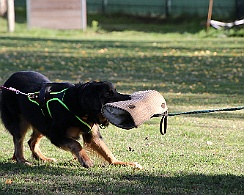 Trainingswochenende_Oktober_2022_FD1A5144-20221006