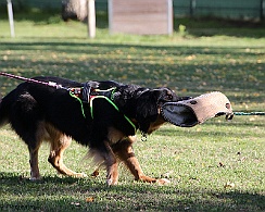 Trainingswochenende_Oktober_2022_FD1A5145-20221006