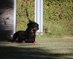 Trainingswochenende_Oktober_2022_FD1A5149-20221006