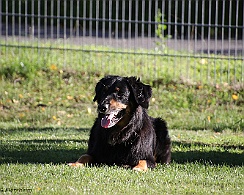 Trainingswochenende_Oktober_2022_FD1A5150-20221006