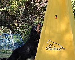 Trainingswochenende_Oktober_2022_FD1A5151-20221006