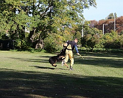 Trainingswochenende_Oktober_2022_FD1A5157-20221006