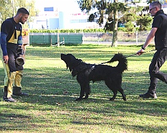 Trainingswochenende_Oktober_2022_FD1A5160-20221006