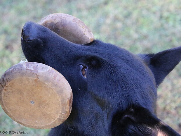 Trainingswochenende Oktober