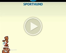 Djerba_VID-20230809-WA0003