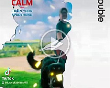 Double_Trouble_VID-20230806-WA0007