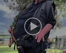 Gomez_VID-20230805-WA0000