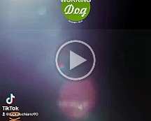 Namiko__VID-20230805-WA0011