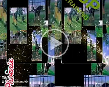 Phoenix_VID-20230809-WA0001