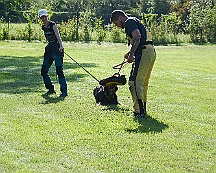Trainingswochenende_August_2023_DSC_5515-2023 08 05