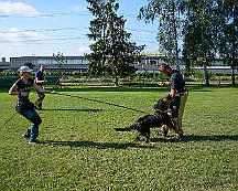 Trainingswochenende_August_2023_DSC_5516-2023 08 05