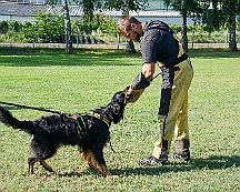 Trainingswochenende_August_2023_DSC_5517-2023 08 05