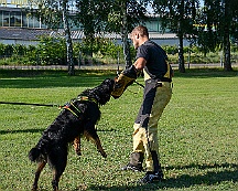 Trainingswochenende_August_2023_DSC_5518-2023 08 05