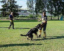 Trainingswochenende_August_2023_DSC_5520-2023 08 05
