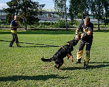Trainingswochenende_August_2023_DSC_5521-2023 08 05