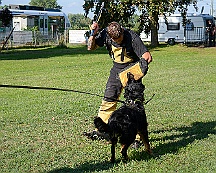 Trainingswochenende_August_2023_DSC_5522-2023 08 05