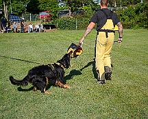 Trainingswochenende_August_2023_DSC_5523-2023 08 05