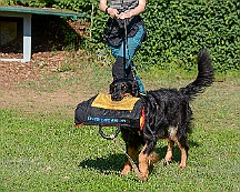 Trainingswochenende_August_2023_DSC_5524-2023 08 05