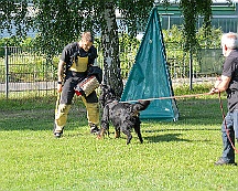 Trainingswochenende_August_2023_DSC_5528-2023 08 05