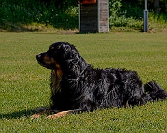 Trainingswochenende_Juni_2023_DSC_4357-2023 06 10