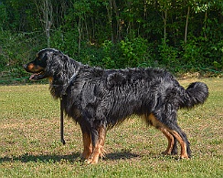 Trainingswochenende_Juni_2023_DSC_4360-2023 06 10