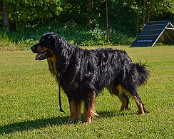 Trainingswochenende_Juni_2023_DSC_4366-2023 06 10