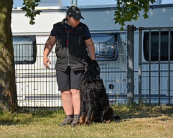 Trainingswochenende_Juni_2023_DSC_4370-2023 06 10