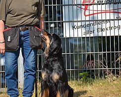 Trainingswochenende_Juni_2023_DSC_4372-2023 06 10