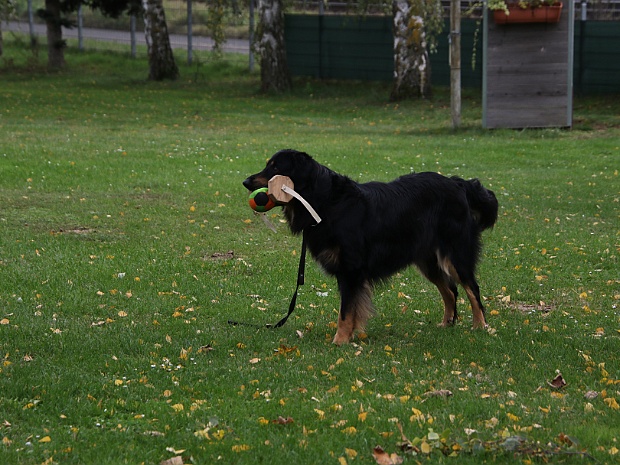ABC Trainingswochenende Oktober 2024