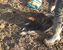 A_B_C Trainingswochenende_Oktober_2024_006-20241014-091505