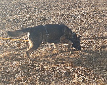 A_B_C Trainingswochenende_Oktober_2024_007-20241014-091505