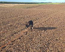 A_B_C Trainingswochenende_Oktober_2024_008-20241014-091505