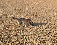 A_B_C Trainingswochenende_Oktober_2024_009-20241014-091505