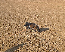 A_B_C Trainingswochenende_Oktober_2024_010-20241014-091505