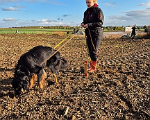 A_B_C Trainingswochenende_Oktober_2024_012-20241014-091505