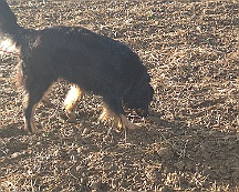 A_B_C Trainingswochenende_Oktober_2024_017-20241014-091505